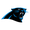 Carolina Panthers